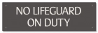 Montana No Lifeguard On Duty Sign