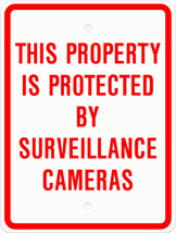 surveillance camera sign